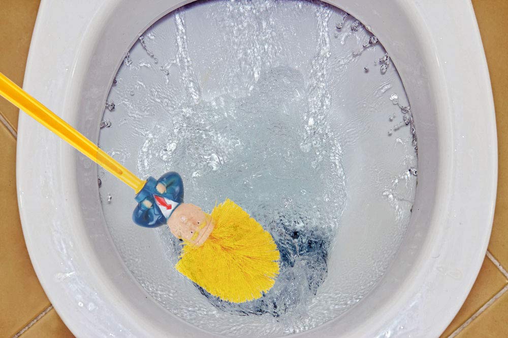 Trump Toilet Brush, Original Trump Toilet Brush Cleaner, Funny Toilet Scubber,Make Toilet Great Again, Commander in Crap (Trump Toilet Brush)