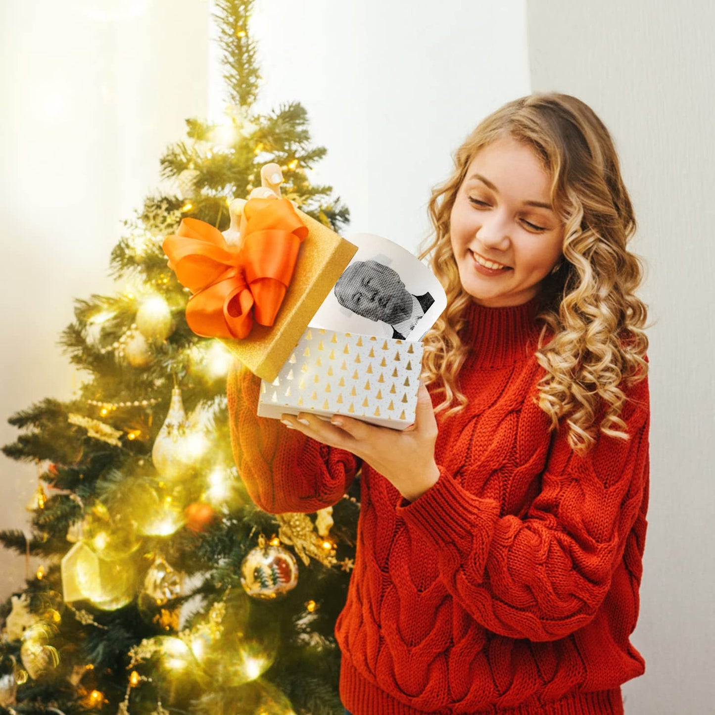 Richboom Funny Toilet Paper 3 Ply Bath Tissue, 320 Sheets, 1 Roll Novelty Political Gag Gift, Hilarious White Elephant Christmas Party Favor for Dad Mom Joke Paper for Men Women Prank Democrat Gifts